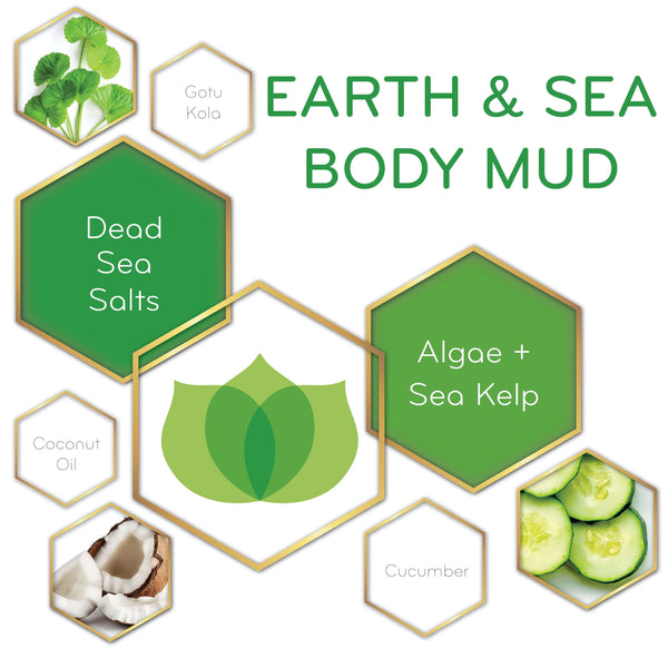 graphic of Earth & Sea Body Mud and its key ingredients