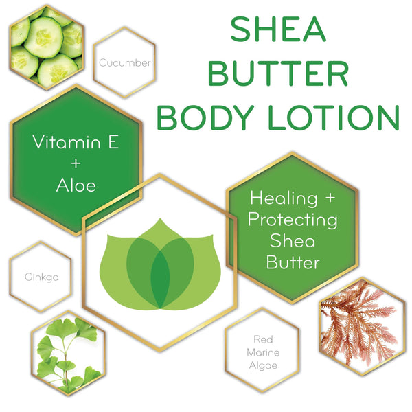 8 oz. bottle of Shea Body Butter Lotion