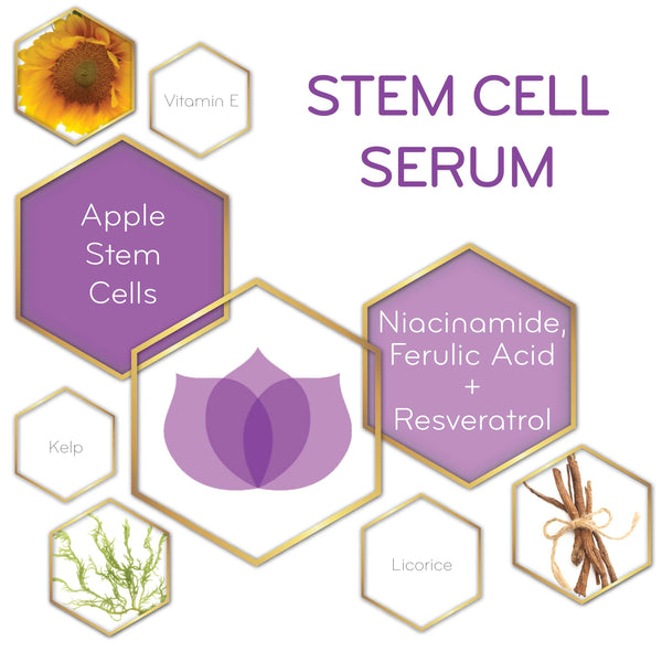 graphic of Stem Cell Serum and its key ingredients