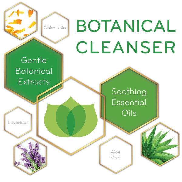 graphic of Botanical Cleanser and its key ingredients