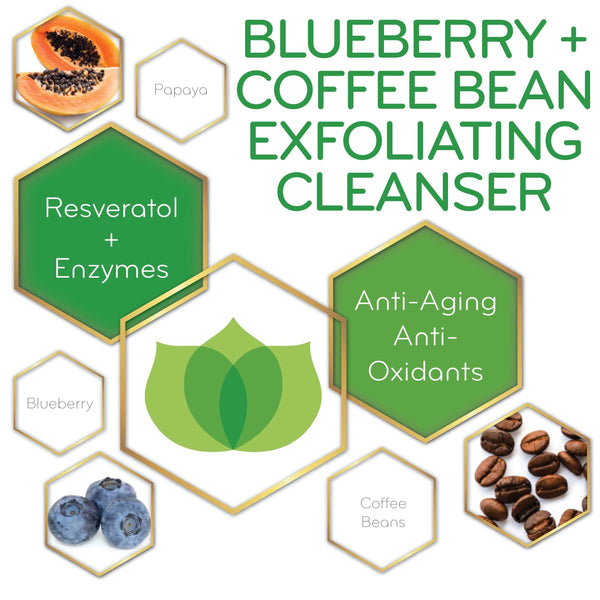 graphic of Blueberry & Coffee Bean Exfoliating Cleanser and its key ingredients