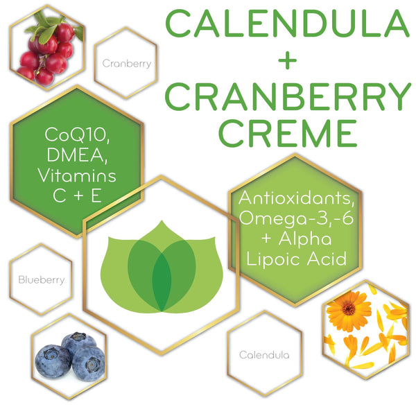 graphic of Calendula + Cranberry Creme and its key ingredients