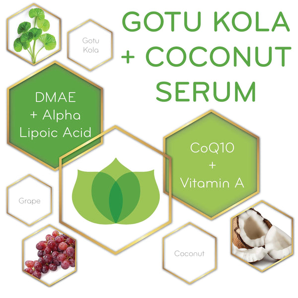 graphic of Gotu Kola + Coconut Serum with its key ingredients