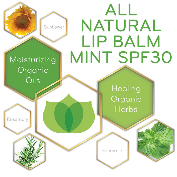 Graphic of all natural mint lip balm with spf 30 and its key ingredients