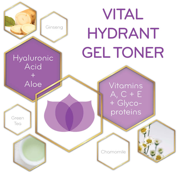 graphic of Vital Hydrant Gel Toner and its key ingredients